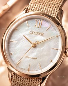 Citizen Eco-Drive naisten kello helmiäistaululla ja mesh-rannekkeella | EM0813-86Y